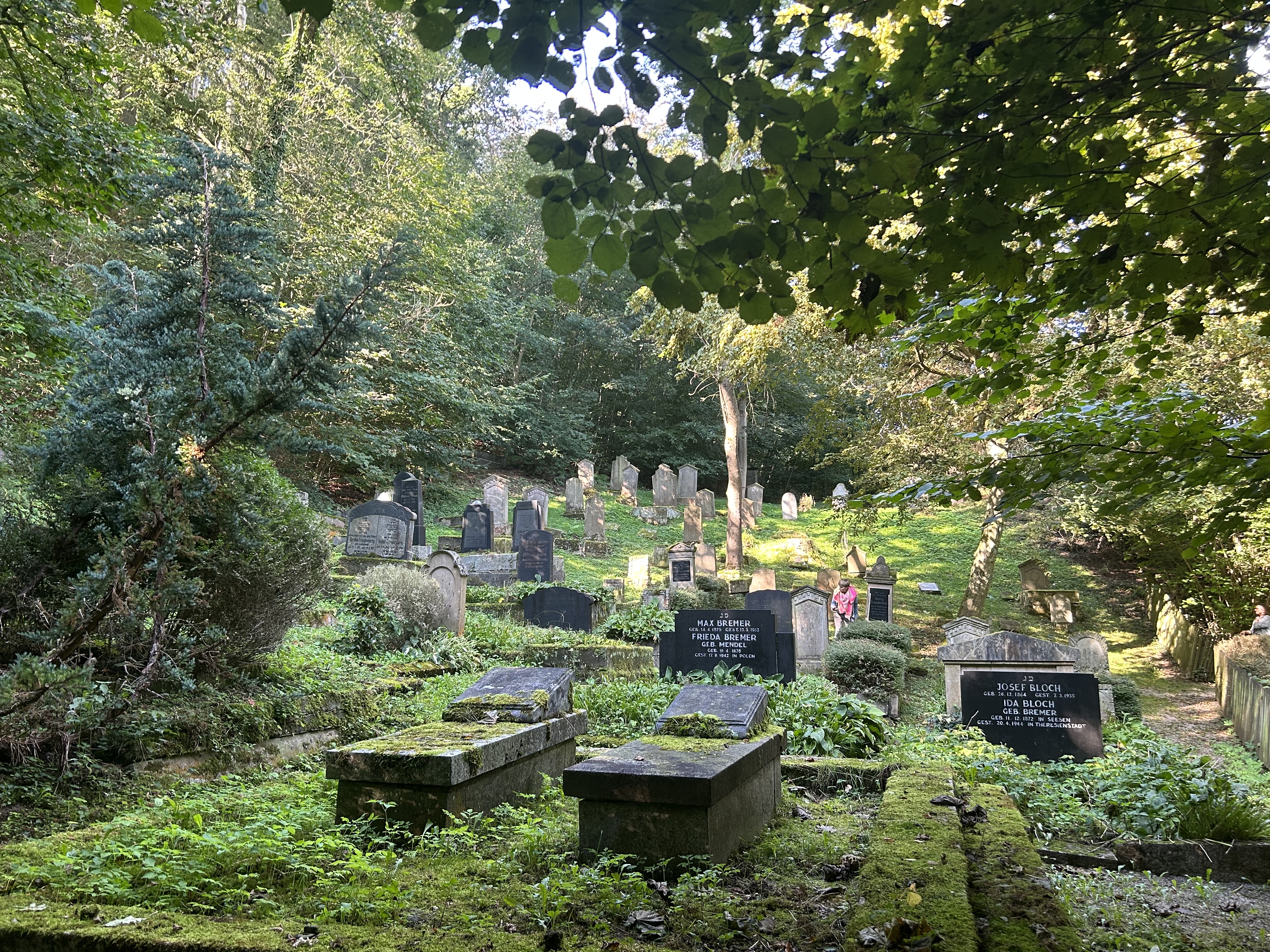 Bild vergr&ouml;&szlig;ern: Jüdischer Friedhof Überblick